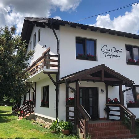 Casa Oaspeti Transfagarasan Διαμέρισμα Cîrţişoara Εξωτερικό φωτογραφία