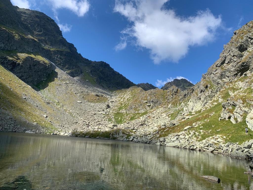 Casa Oaspeti Transfagarasan Διαμέρισμα Cîrţişoara Εξωτερικό φωτογραφία