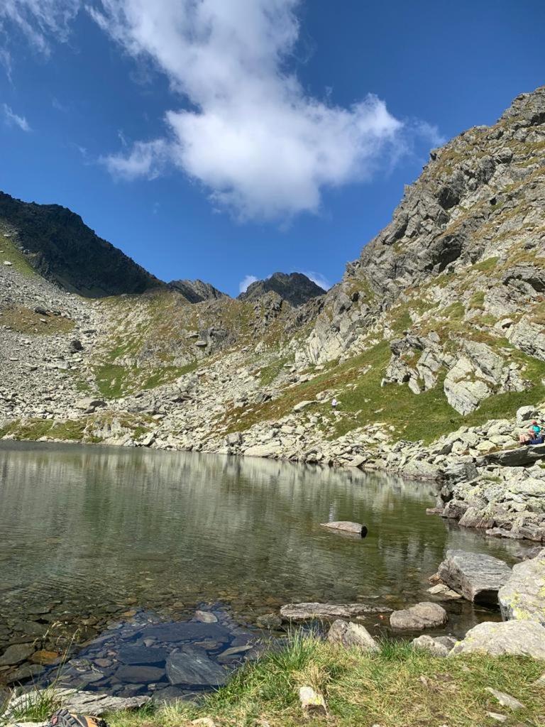 Casa Oaspeti Transfagarasan Διαμέρισμα Cîrţişoara Εξωτερικό φωτογραφία